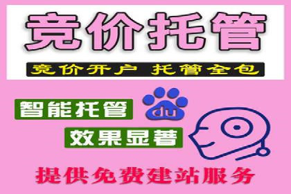SEM托管代运营成功案例：提升品牌曝光率